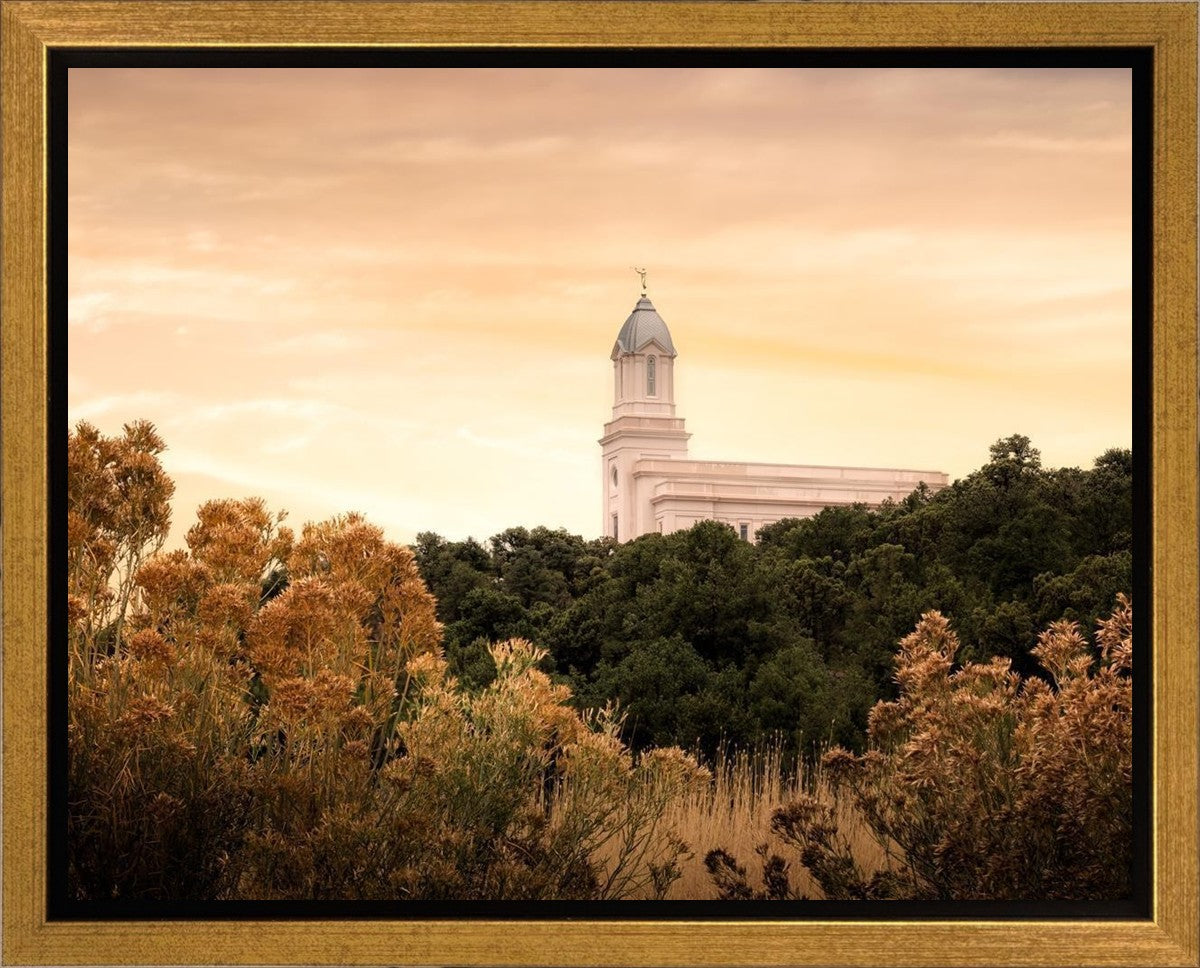 Cedar City Golden Gallery Wrap