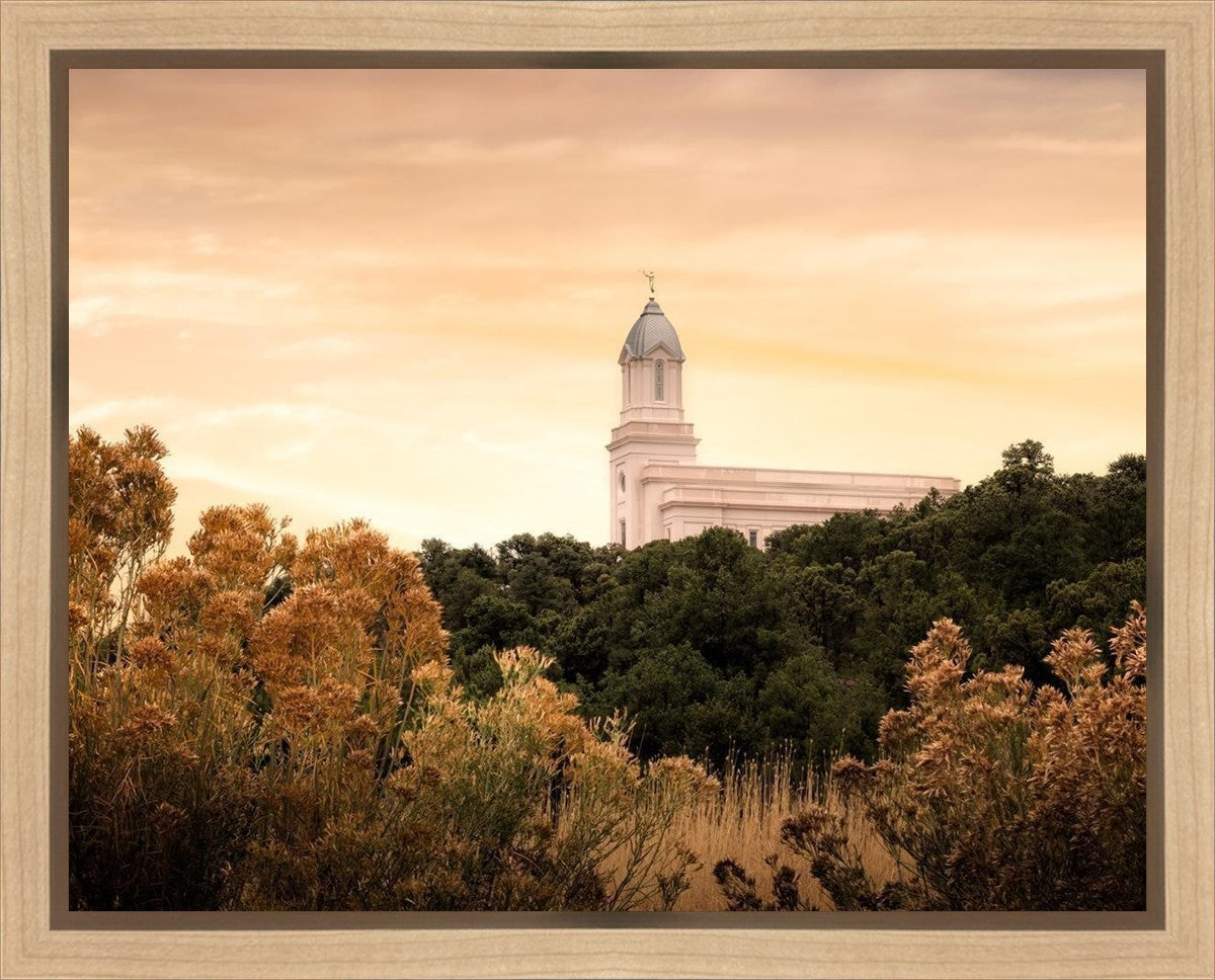 Cedar City Golden Gallery Wrap