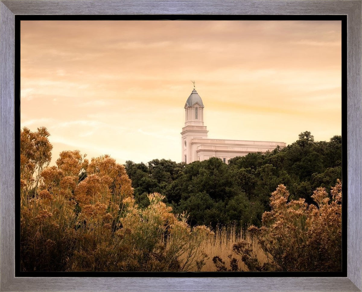 Cedar City Golden Gallery Wrap