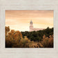 Cedar City Golden