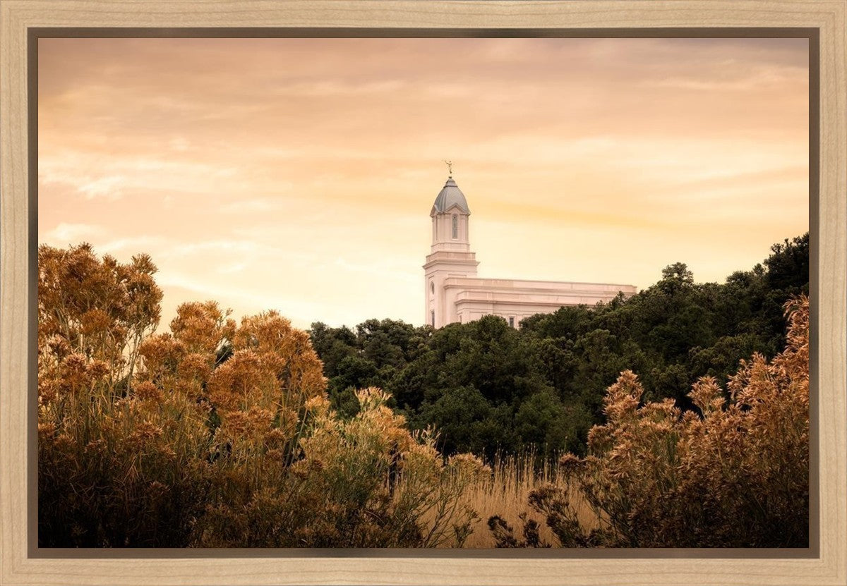 Cedar City Golden Gallery Wrap