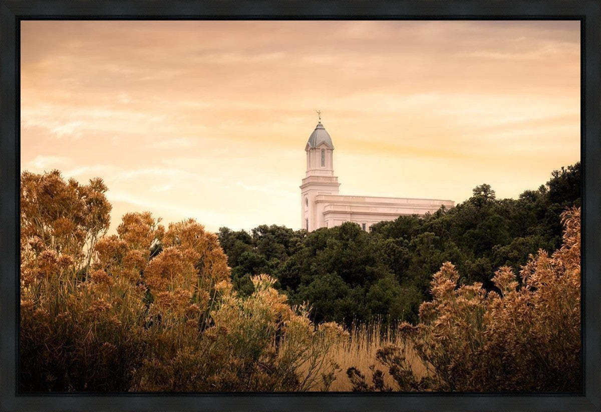 Cedar City Golden Gallery Wrap