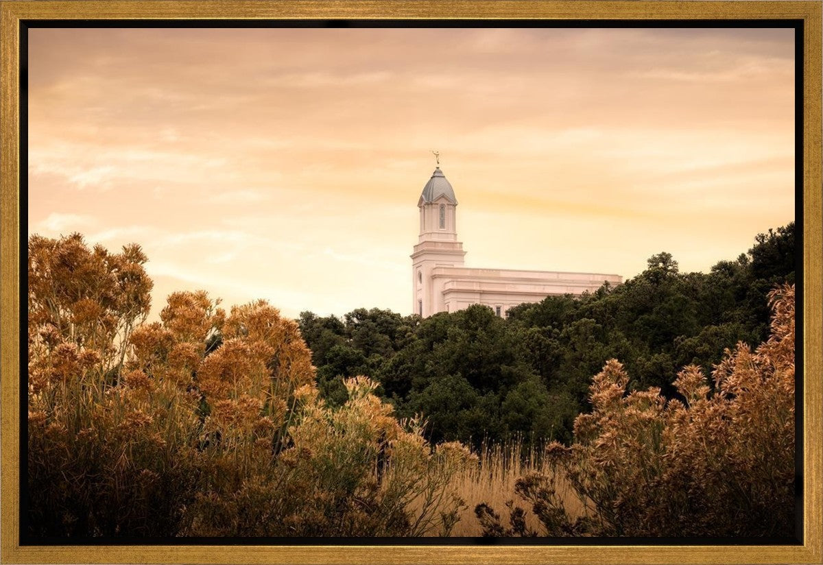 Cedar City Golden Gallery Wrap