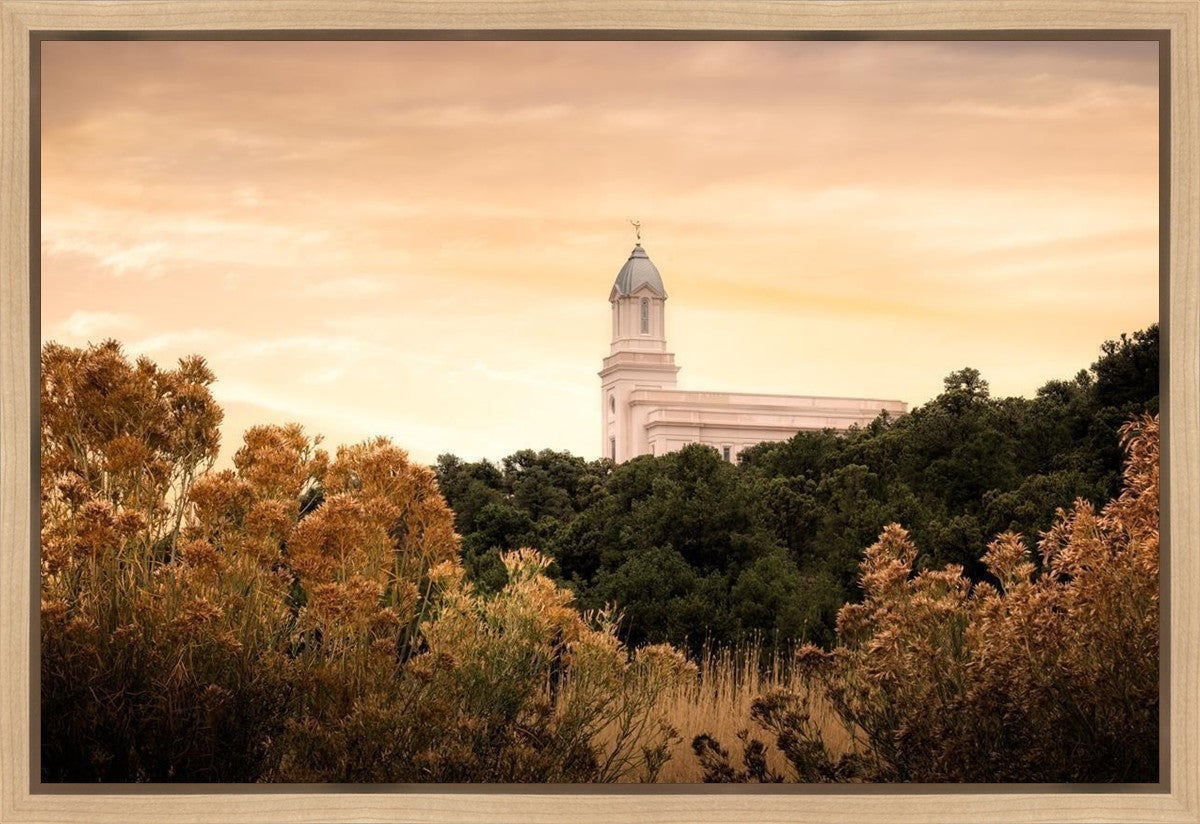 Cedar City Golden Gallery Wrap