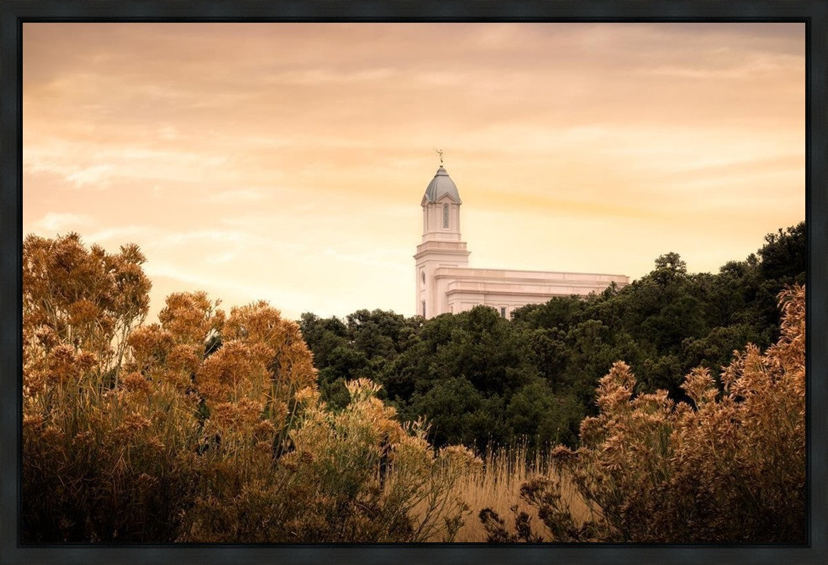 Cedar City Golden Gallery Wrap