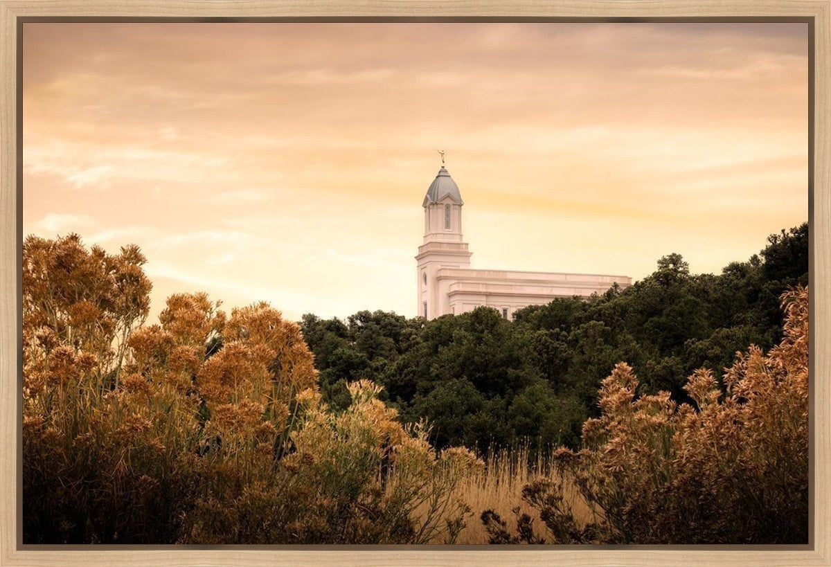 Cedar City Golden Gallery Wrap