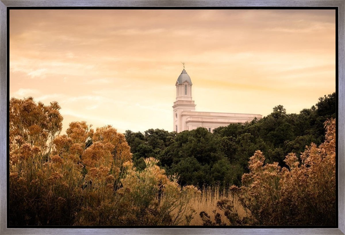 Cedar City Golden Gallery Wrap