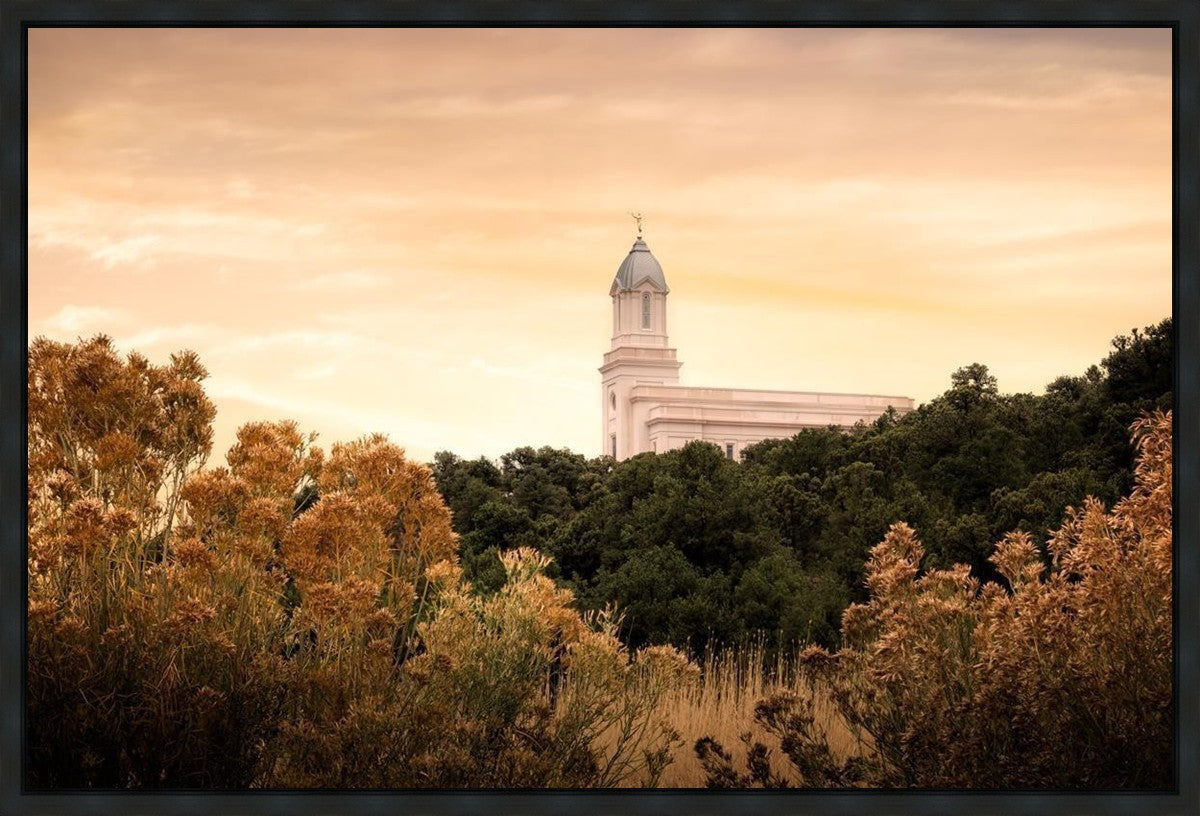Cedar City Golden Gallery Wrap