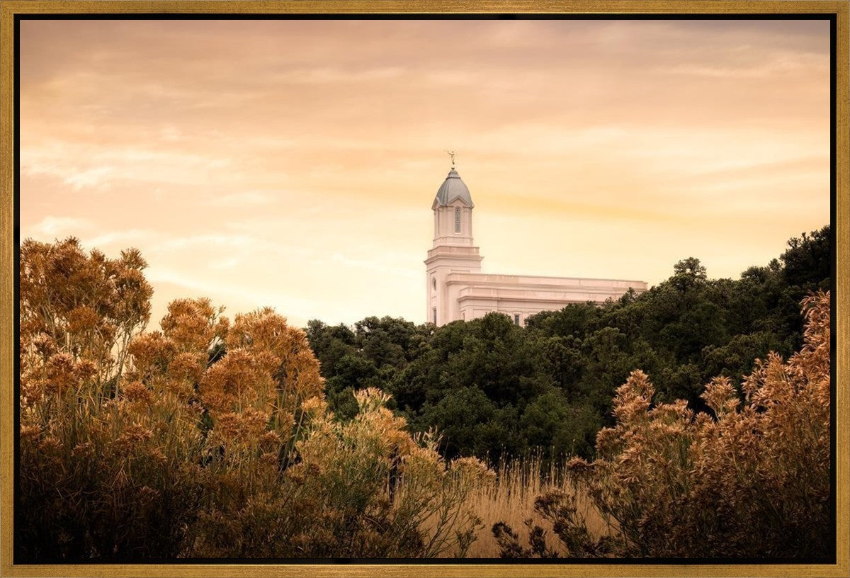 Cedar City Golden Gallery Wrap