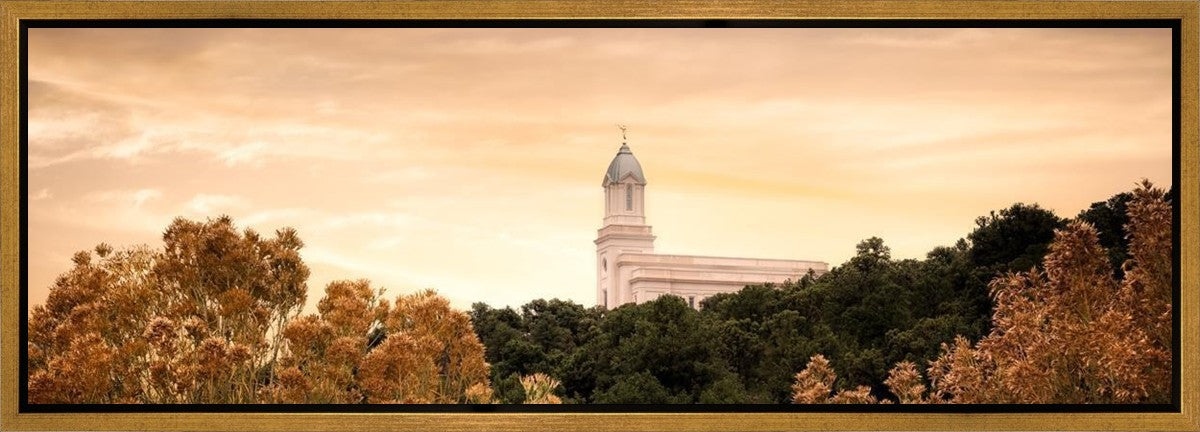 Cedar City Golden Gallery Wrap