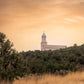 Cedar Hills