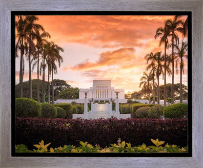 Laie Spread Thy Word