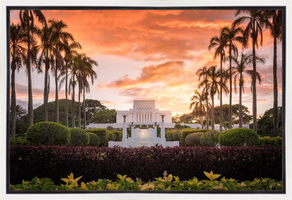 Laie Spread Thy Word