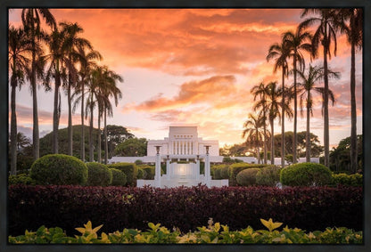 Laie Spread Thy Word