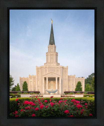 Houston Pastel Morning