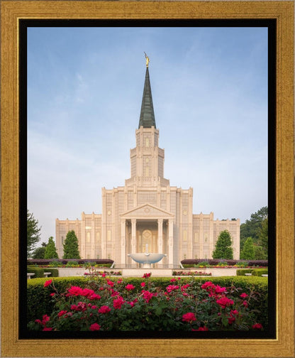 Houston Pastel Morning