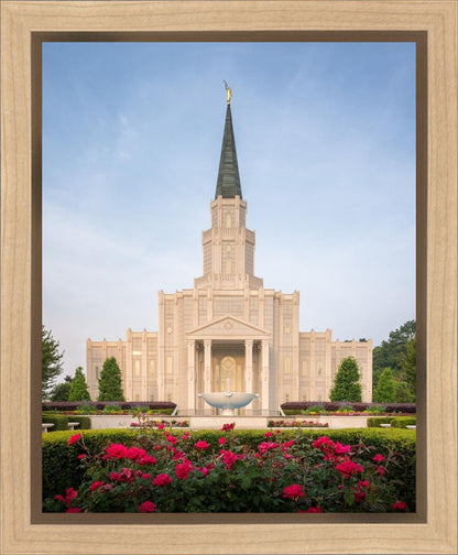 Houston Pastel Morning