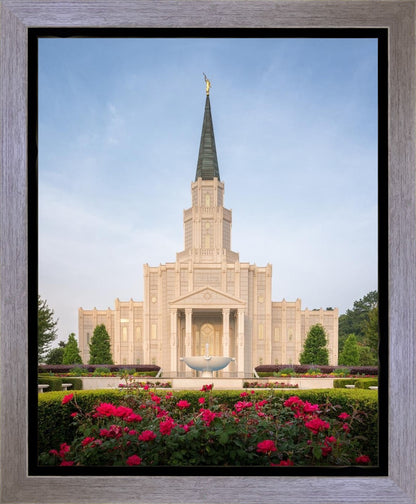 Houston Pastel Morning