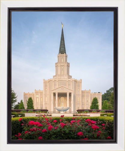 Houston Pastel Morning