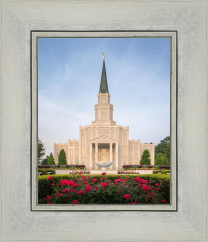 Houston Pastel Morning