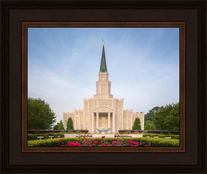 Houston Pastel Morning