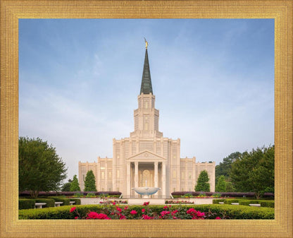 Houston Pastel Morning