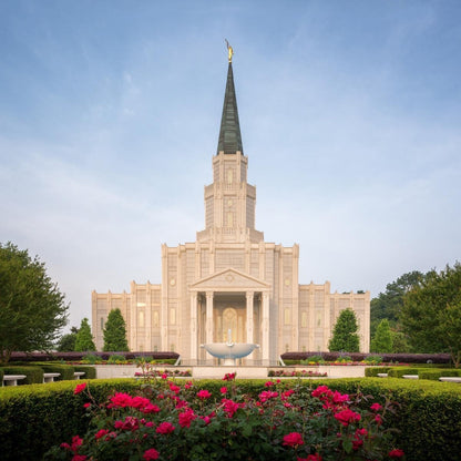 Houston Pastel Morning