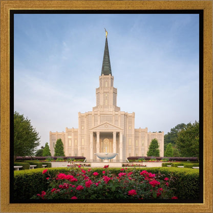 Houston Pastel Morning