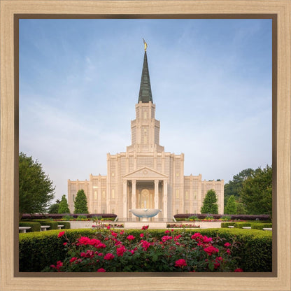 Houston Pastel Morning