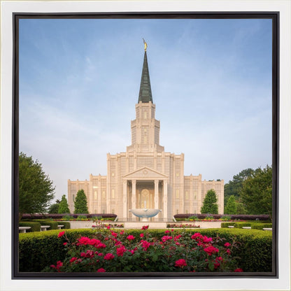 Houston Pastel Morning