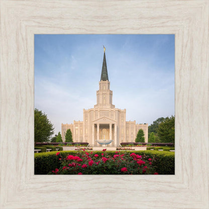 Houston Pastel Morning