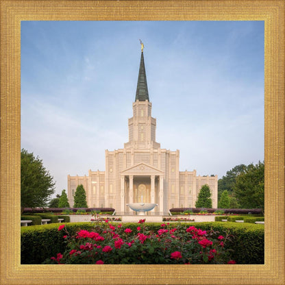 Houston Pastel Morning