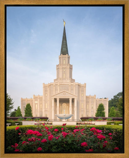 Houston Pastel Morning