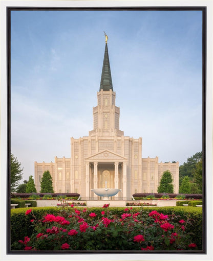 Houston Pastel Morning