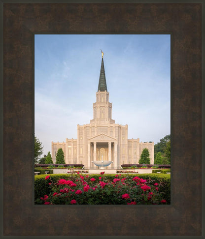 Houston Pastel Morning