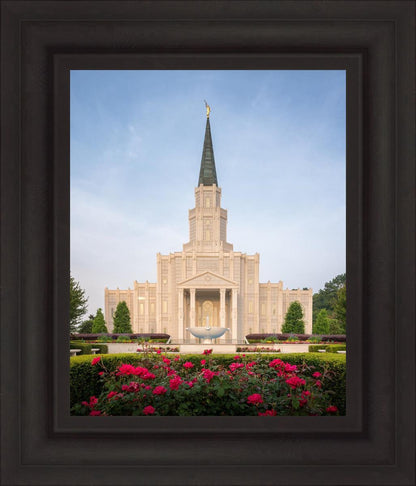 Houston Pastel Morning