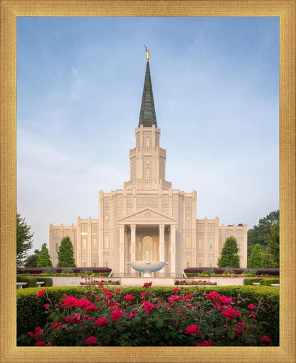 Houston Pastel Morning