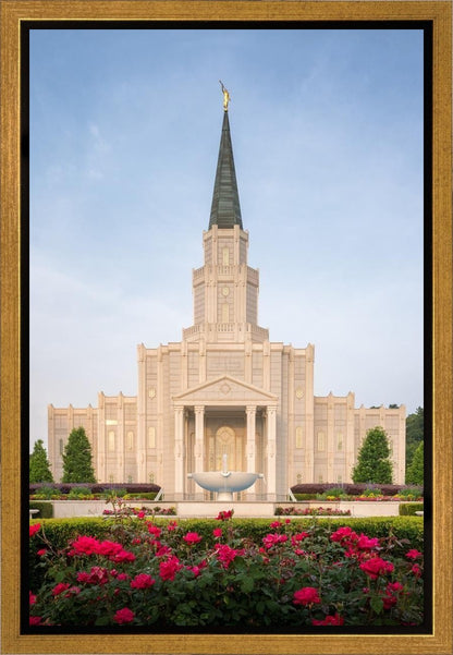 Houston Pastel Morning