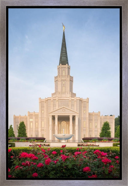 Houston Pastel Morning