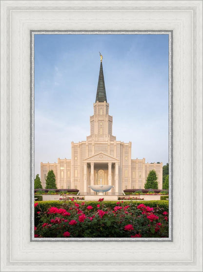 Houston Pastel Morning