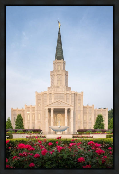 Houston Pastel Morning