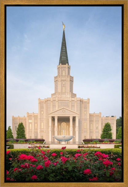 Houston Pastel Morning