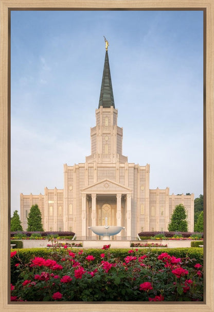 Houston Pastel Morning