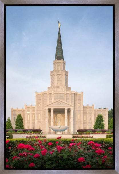 Houston Pastel Morning