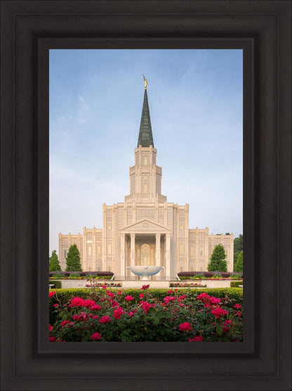 Houston Pastel Morning