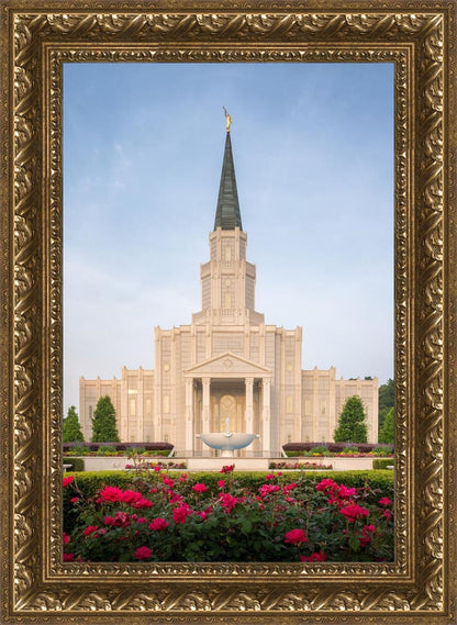 Houston Pastel Morning