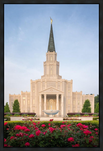 Houston Pastel Morning