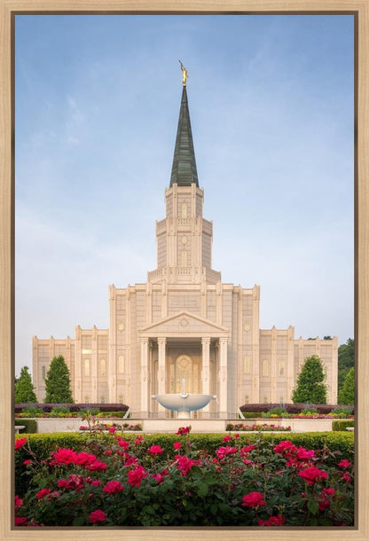 Houston Pastel Morning