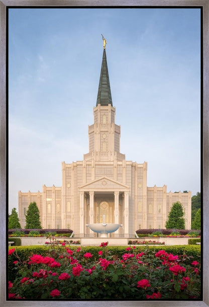 Houston Pastel Morning