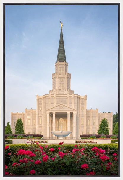 Houston Pastel Morning